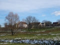 dezanovac_web-12