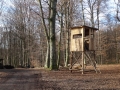 dezanovac_web-31