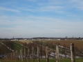dezanovac_web-4