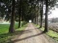 dezanovac_web-50