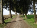 dezanovac_web-51