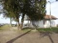 dezanovac_web-52