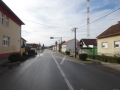 dezanovac_web-54